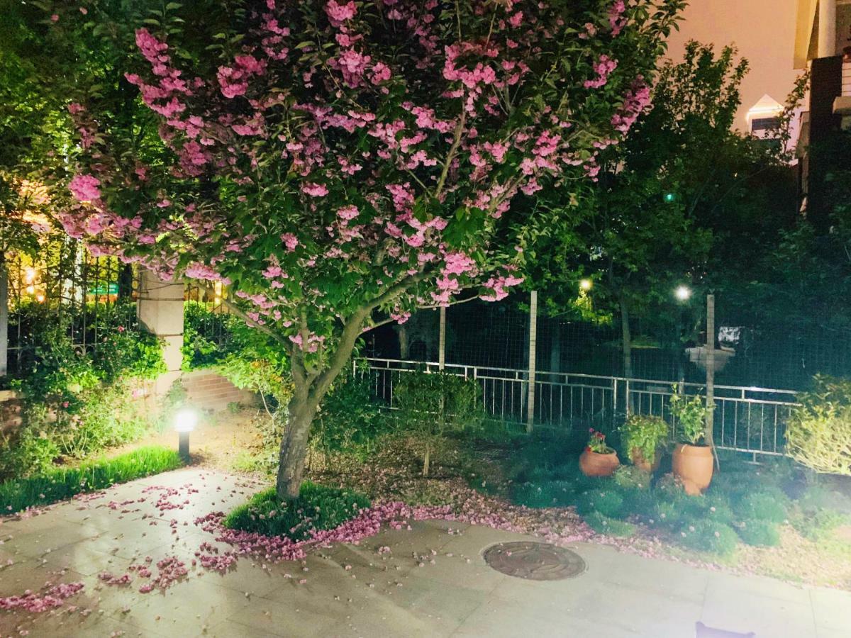 Floral Hotel - Begonia Villa Циндао Екстериор снимка